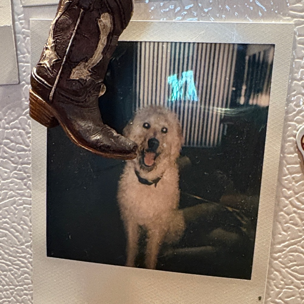 Polaroid Now Instant Camera - Picture 6 of 6